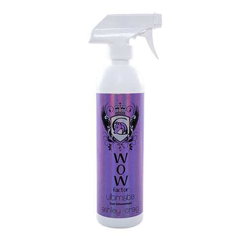 Ashley Craig WOW Factor Ultimate Spray 500ml