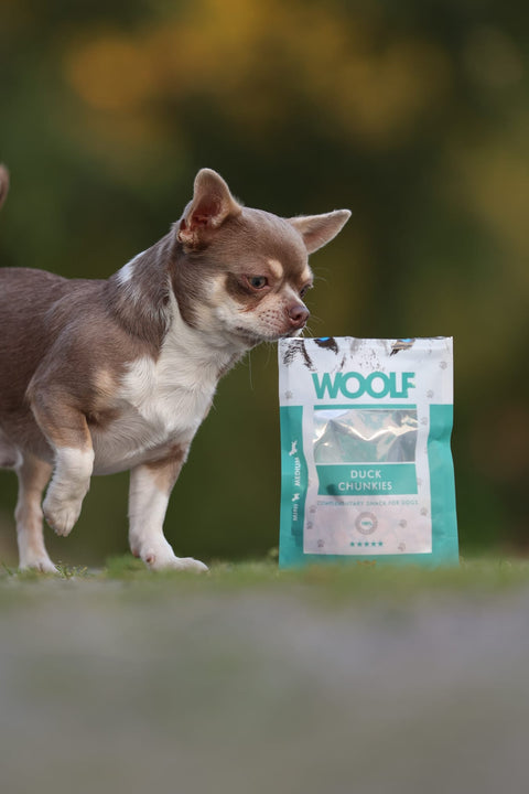 Finn din nye Woolf favoritt