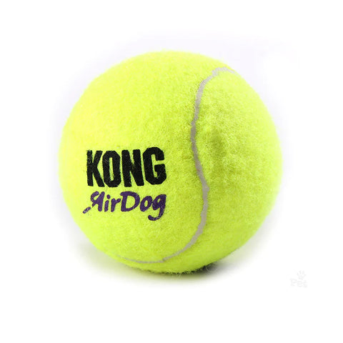 Kong SqueakAir 2pk Large