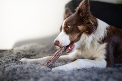 Sund Hundmat Frysetørket Oksemuskel 220g