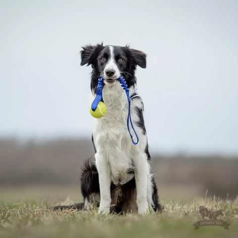 Doggie-Zen Orbee Tuff Kampleke