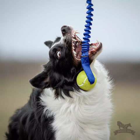 Doggie-Zen Orbee Tuff Kampleke