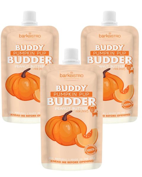 Bark Bistro Pumpkin Pup Buddy Budder Squeeze Pack 113g