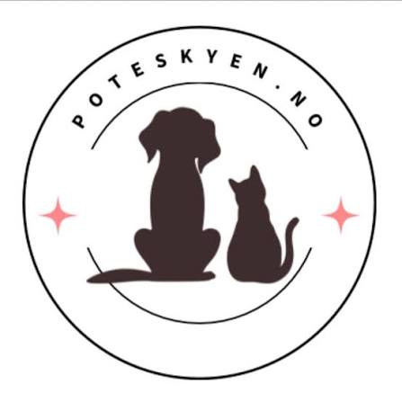 Poteskyen.no