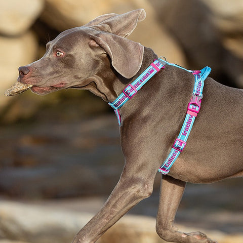 TrueLove Neopren Sele H2 Bubblegum
