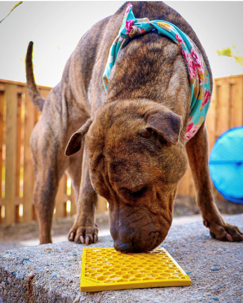 SodaPup Honeycomb Enrichment Lick Mat Small