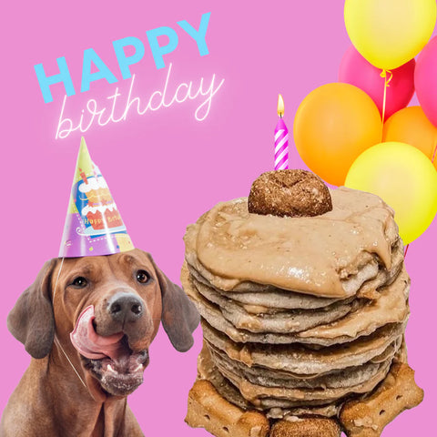 Bark Bistro Birthday Bash Pooch Pancakes 396g