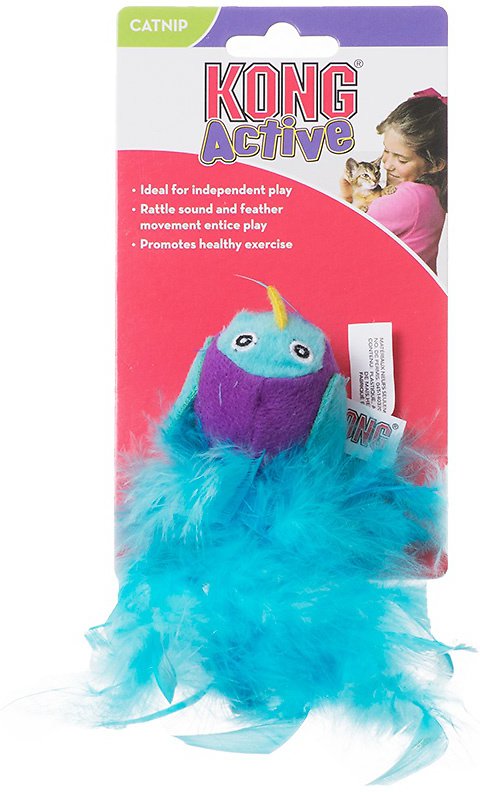 Kong buddy bird