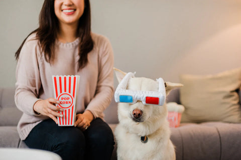 3-Dog Glasses - Hollywoof Cinema