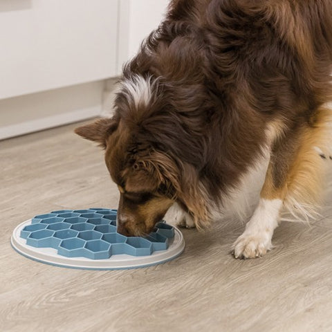 Trixie Hive Slow Feeding Plate