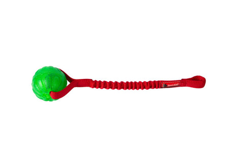 Doggie-Zen Elastisk Funball Kampleke